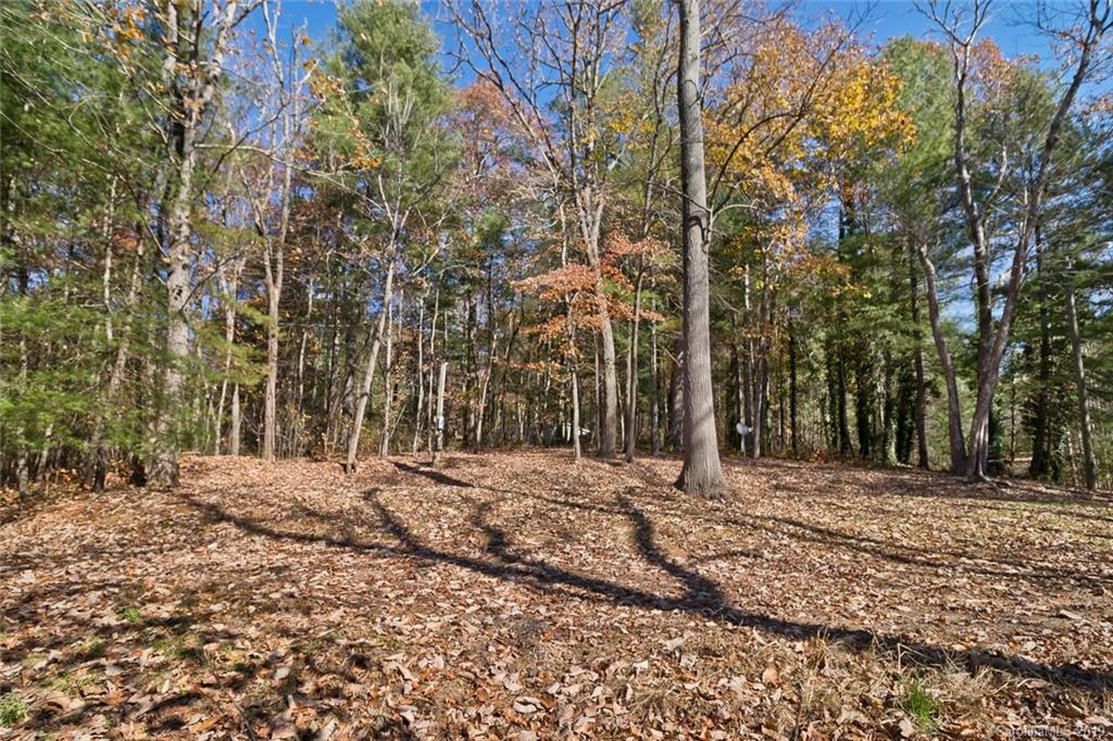 134 Mountain View Road Fairview, NC 28730 - Photo 7 of 16 Gallery Image 7