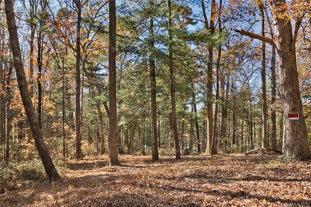 134 Mountain View Road Fairview, NC 28730 - Photo 8 of 16 Gallery Image 8
