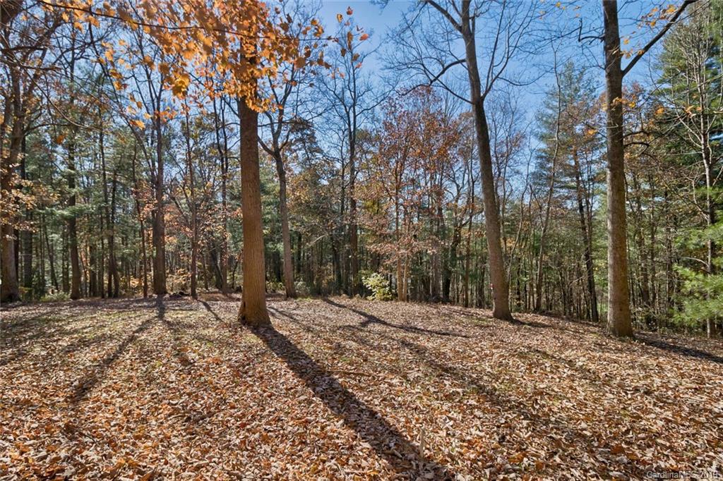134 Mountain View Road Fairview, NC 28730 - Photo 10 of 16 Gallery Image 10