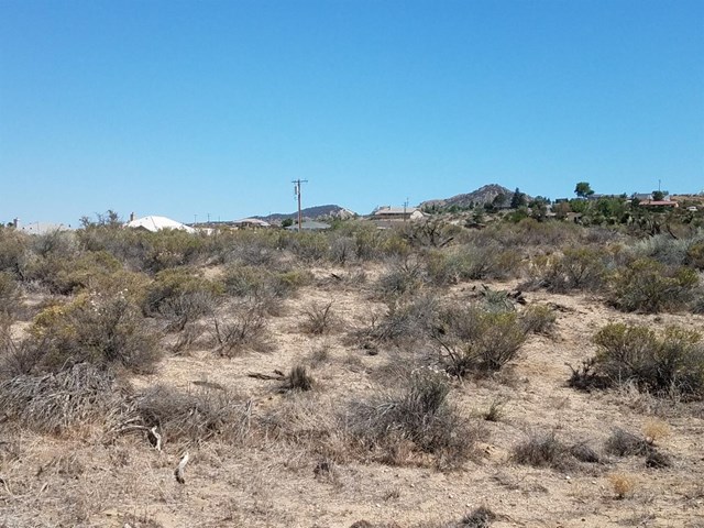 29 Sahara Road Phelan, CA 92371 - Photo 1 of 1 a view of a dry field
