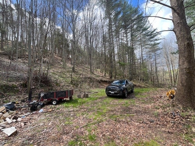 15.01-ac Pine Run Road, Unit 115110A Draper, VA 24324 - Photo 24 of 57 Gallery Image 24