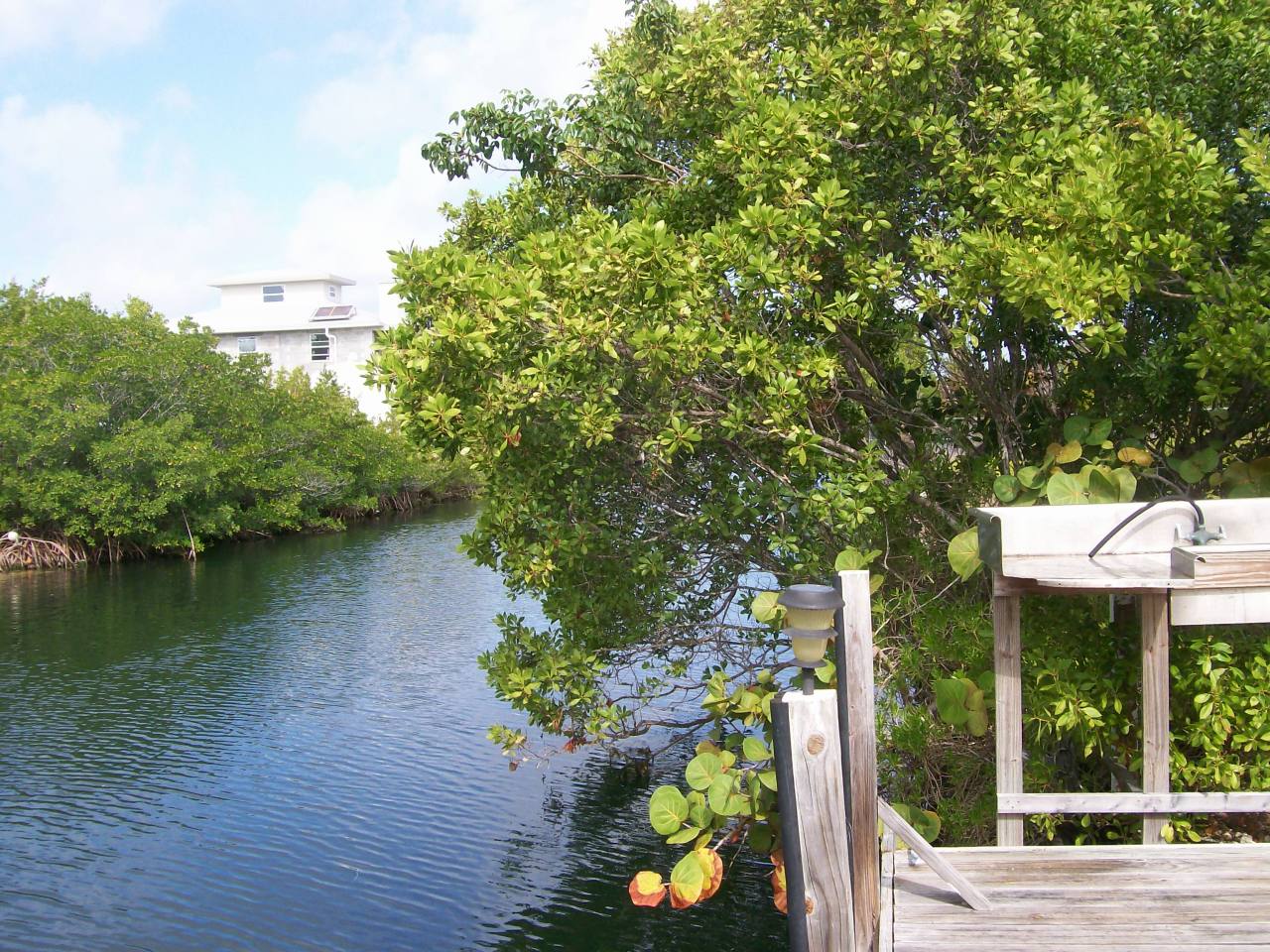 4048 Dorn Road Summerland Key, FL 33042 - Photo 1 of 4 Canal view from additional lot
