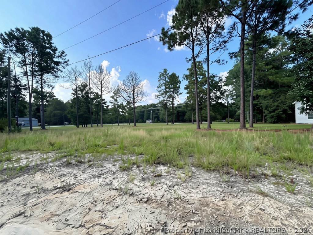 813 Wiregrass Road Hamlet, NC 28345 - Photo 5 of 13 Gallery Image 5