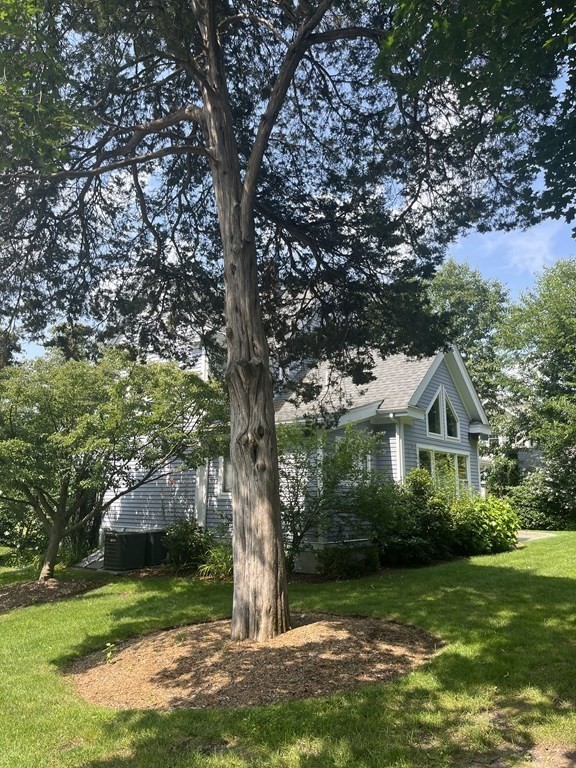20 Shirley Street Lexington, MA 02421 - Photo 30 of 37 Gallery Image 30