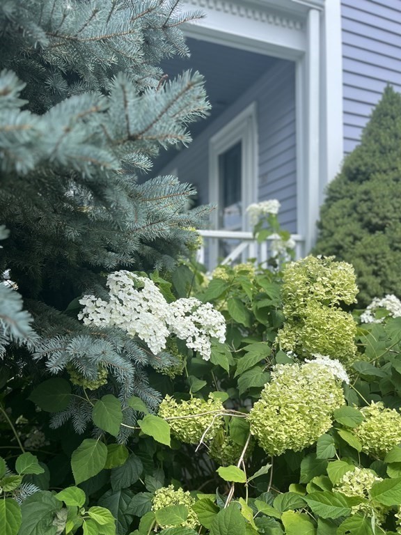 20 Shirley Street Lexington, MA 02421 - Photo 31 of 37 Gallery Image 31