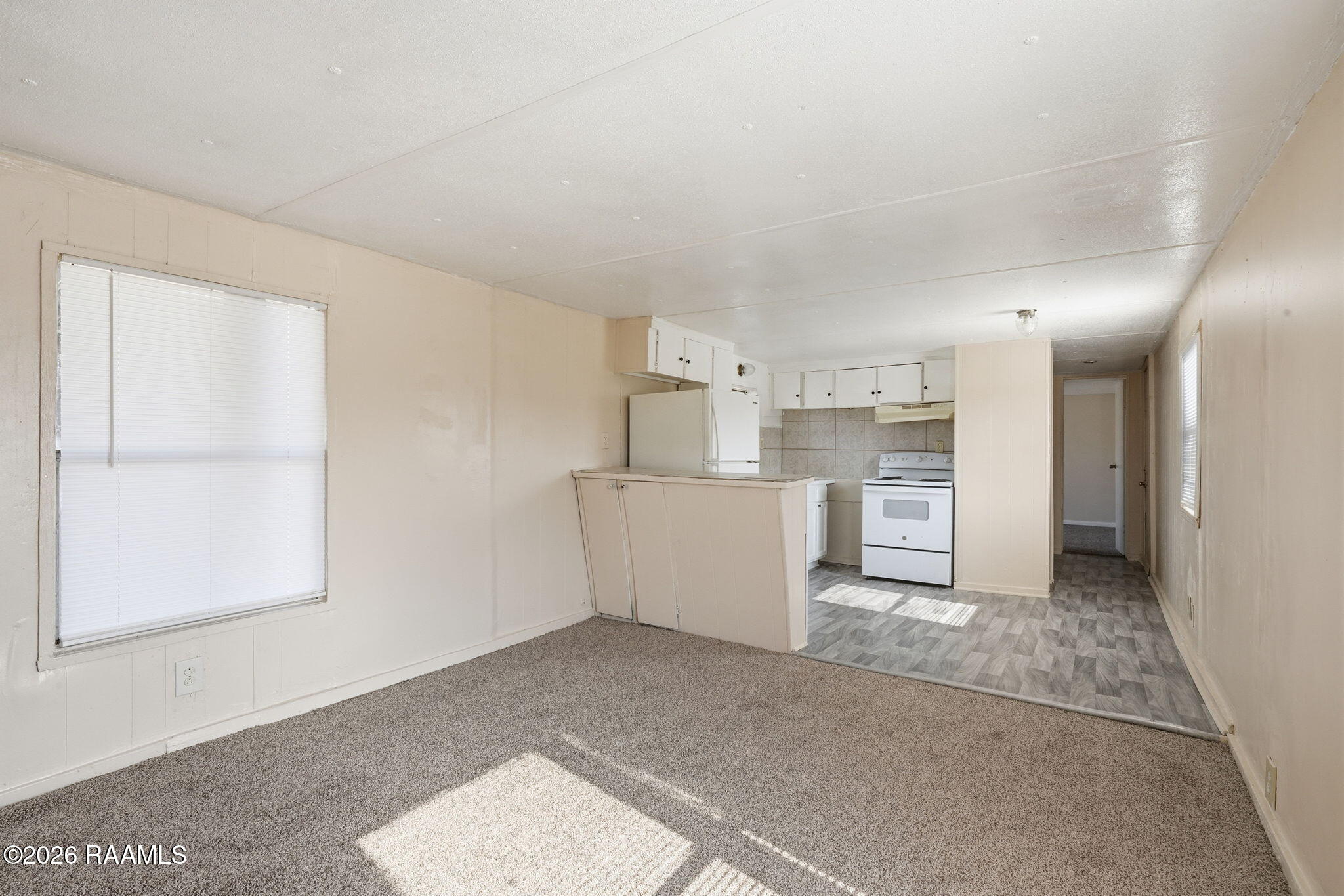 308 Arnaudville Road Carencro, LA 70520 - Photo 6 of 27 4-web-or-mls-BB104888 Brian Butcher