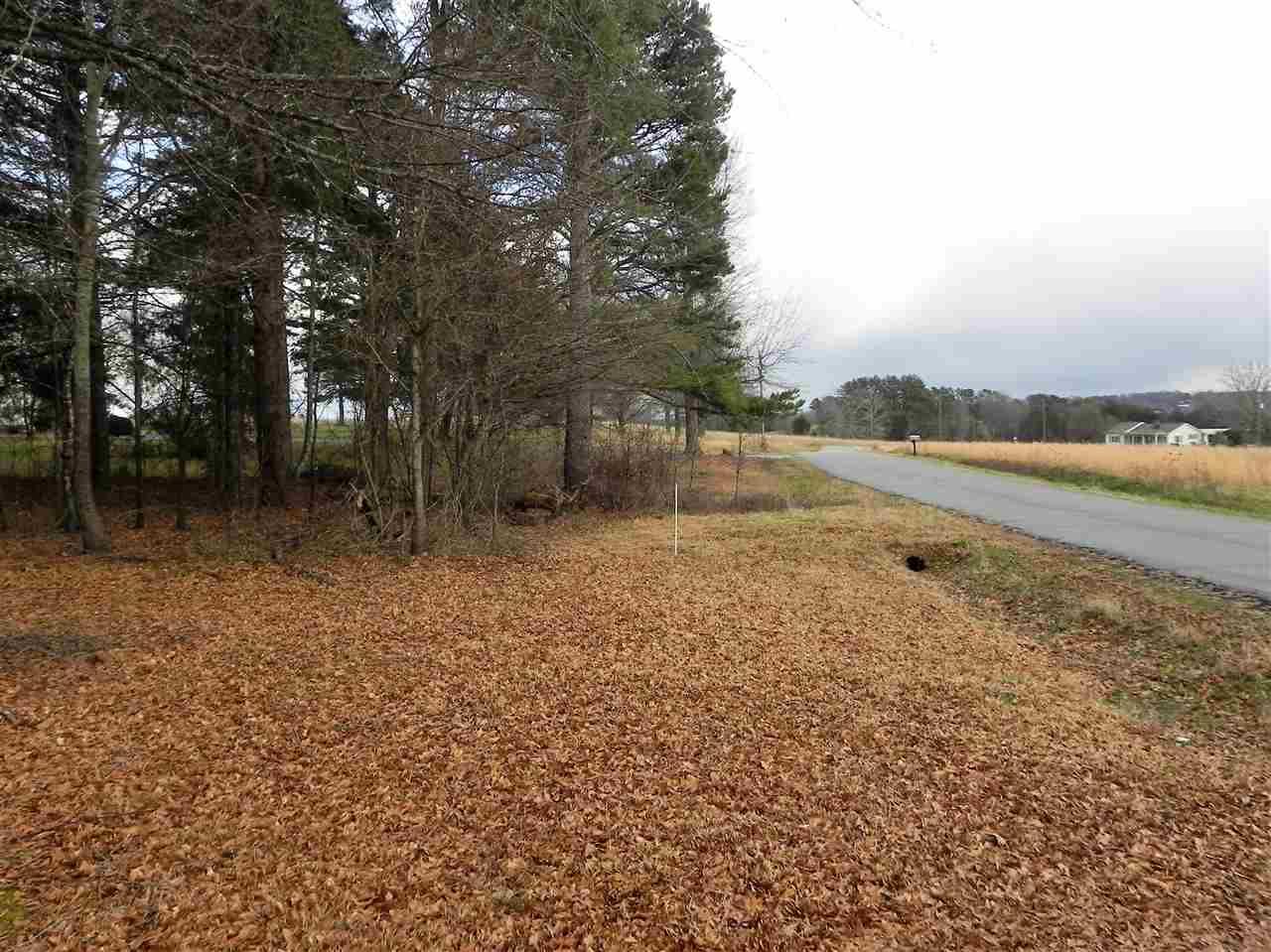 280 Ferree Road Campobello, SC 29322 - Photo 17 of 24