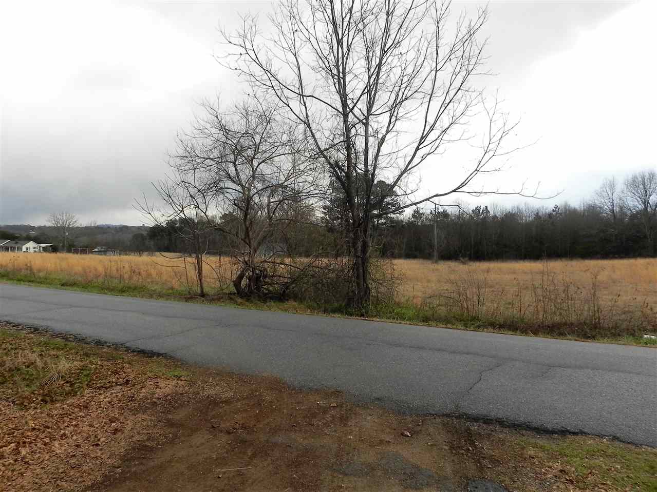 280 Ferree Road Campobello, SC 29322 - Photo 18 of 24
