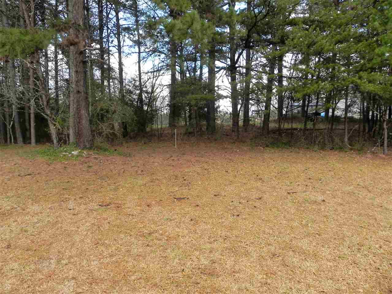 280 Ferree Road Campobello, SC 29322 - Photo 23 of 24