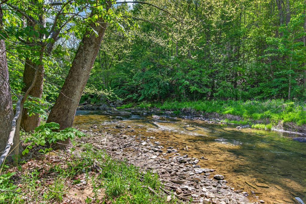 1366 Sunset River Road Ceres, VA 24318 - Photo 60 of 67 Gallery Image 60