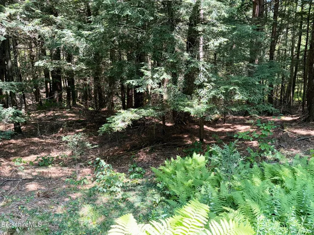 a big yard with lots of green space and trees