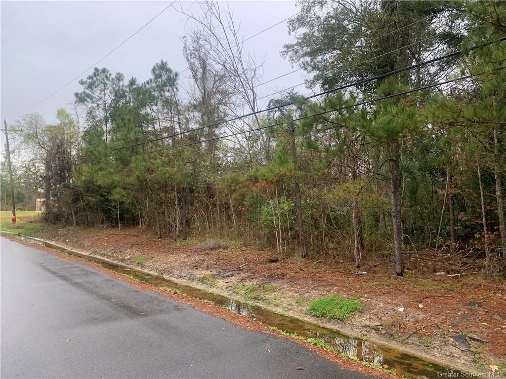 Cascio Rd Lake Lake Charles, LA 70611 - Photo 1 of 3 Gallery Image 1