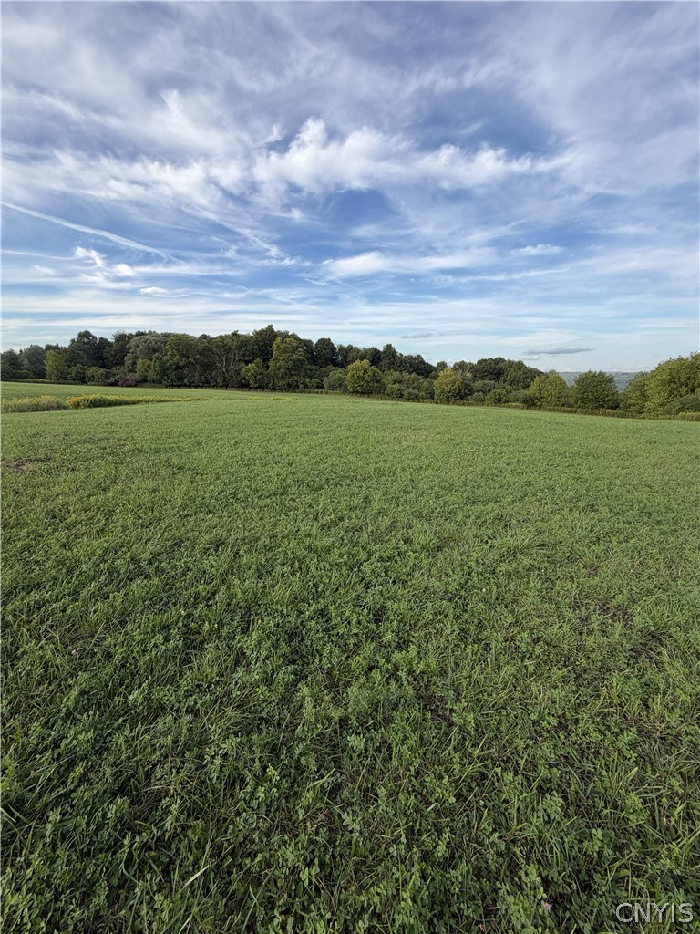 3936 E Road West Turin, NY 13473 - Photo 3 of 7 Views of the Adirondacks