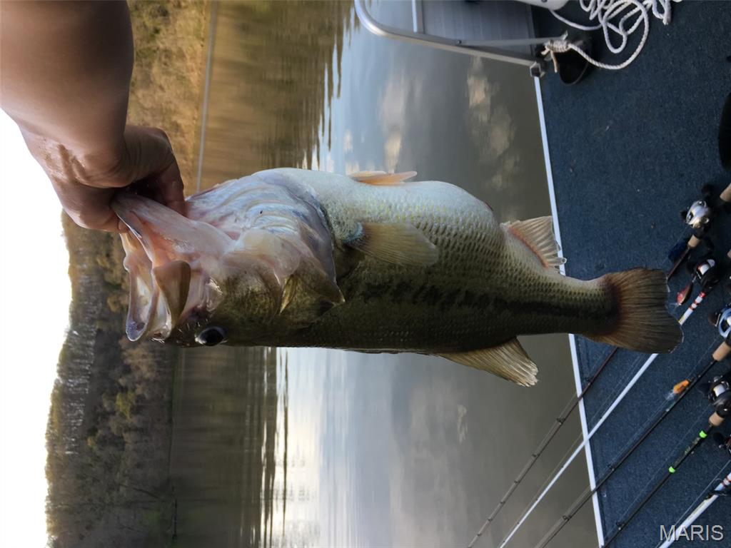 404 Stones Throw Court Defiance, MO 63341 - Photo 22 of 23