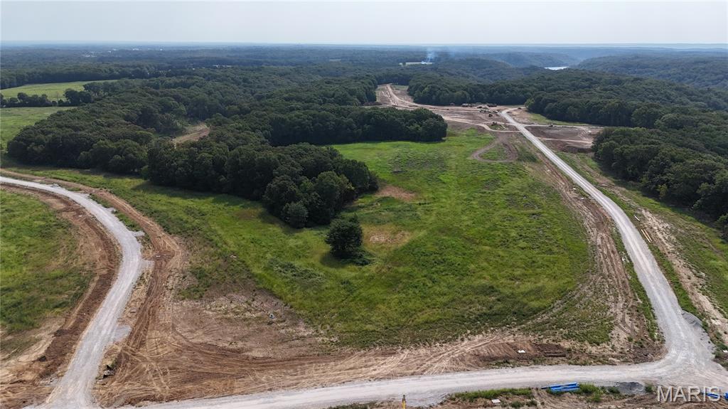 404 Stones Throw Court Defiance, MO 63341 - Photo 5 of 23