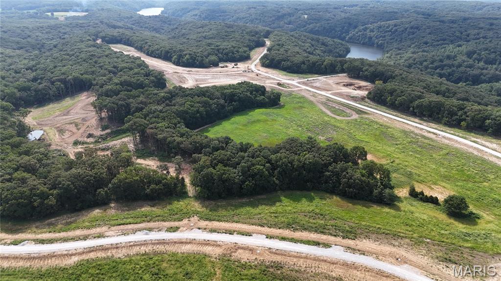 404 Stones Throw Court Defiance, MO 63341 - Photo 7 of 23