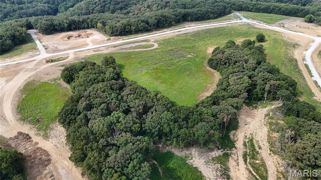 404 Stones Throw Court Defiance, MO 63341 - Photo 8 of 23