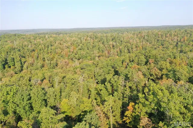 $285,000 | 1 Highway 34 Silva Mo 63964, Greenville, MO 63944