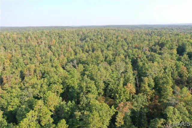 $285,000 | 1 Highway 34 Silva Mo 63964, Greenville, MO 63944