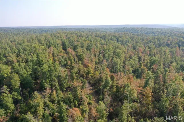 $285,000 | 1 Highway 34 Silva Mo 63964, Greenville, MO 63944