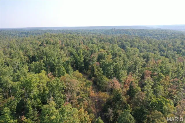 $285,000 | 1 Highway 34 Silva Mo 63964, Greenville, MO 63944