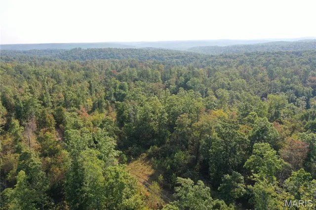 $285,000 | 1 Highway 34 Silva Mo 63964, Greenville, MO 63944