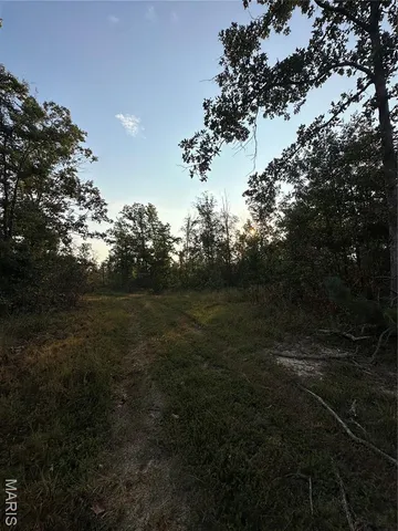 $285,000 | 1 Highway 34 Silva Mo 63964, Greenville, MO 63944