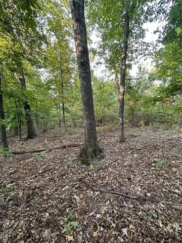 $285,000 | 1 Highway 34 Silva Mo 63964, Greenville, MO 63944