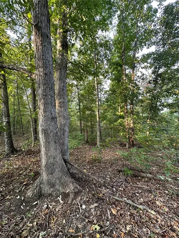 $285,000 | 1 Highway 34 Silva Mo 63964, Greenville, MO 63944