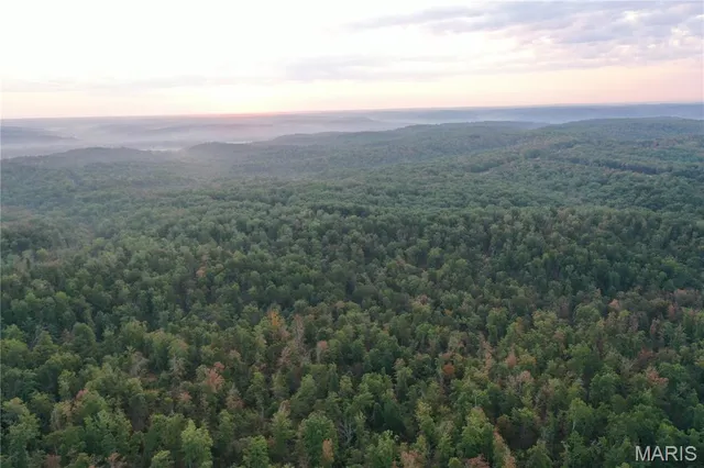 $285,000 | 1 Highway 34 Silva Mo 63964, Greenville, MO 63944