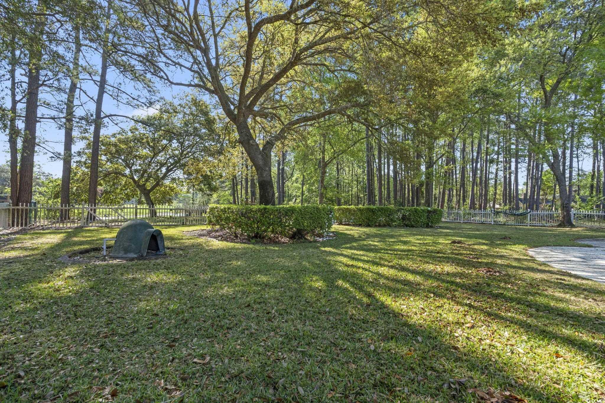 209 Goodson Loop Pawleys Island, SC 29585 - Photo 35 of 40 Gallery Image 35