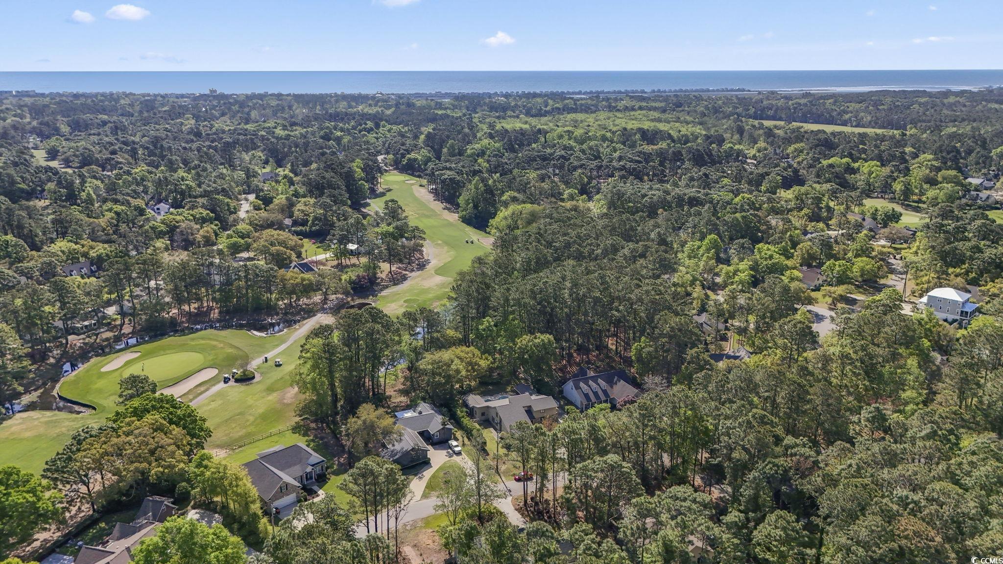 209 Goodson Loop Pawleys Island, SC 29585 - Photo 37 of 40 Gallery Image 37