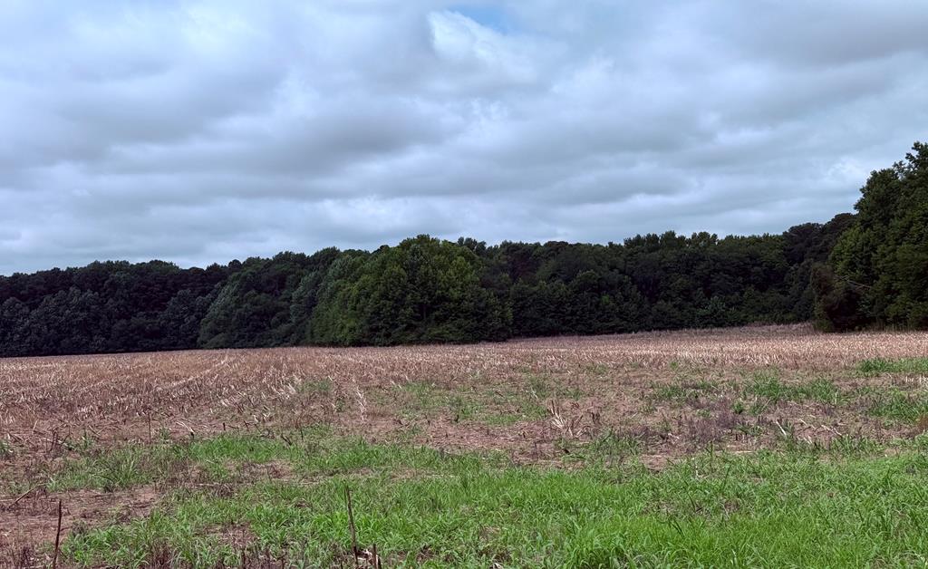 Lot 185 Mason Road, Unit 185 Bloxom, VA 23308 - Photo 1 of 3 Main View