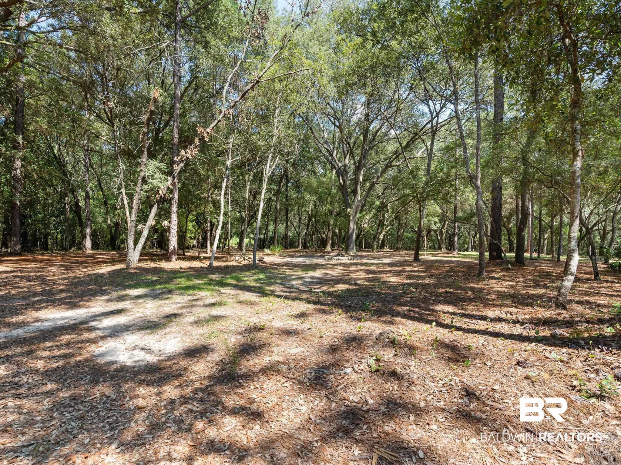 36001 Sibley Road Stapleton, AL 36578 - Photo 6 of 64 View of lush tree covered walking trail.