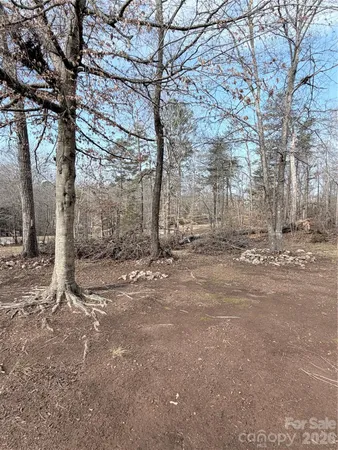 a view of dirt yard with a tree