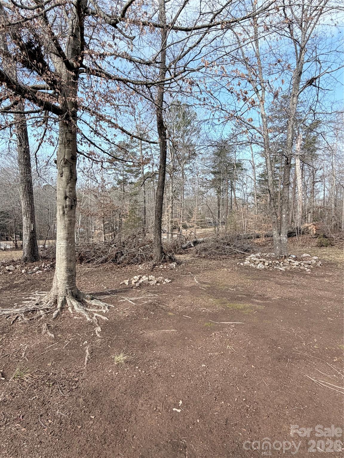 1085 Love Valley Road Clover, SC 29710 - Photo 2 of 6 a view of dirt yard with a tree