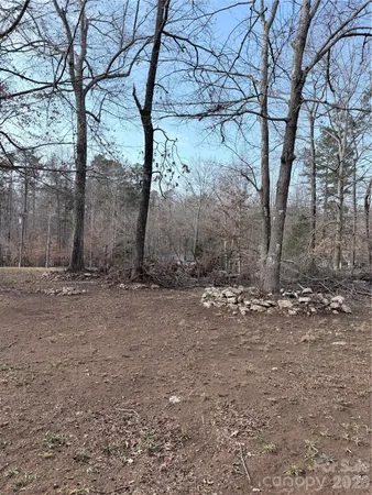 a view of a backyard with large trees