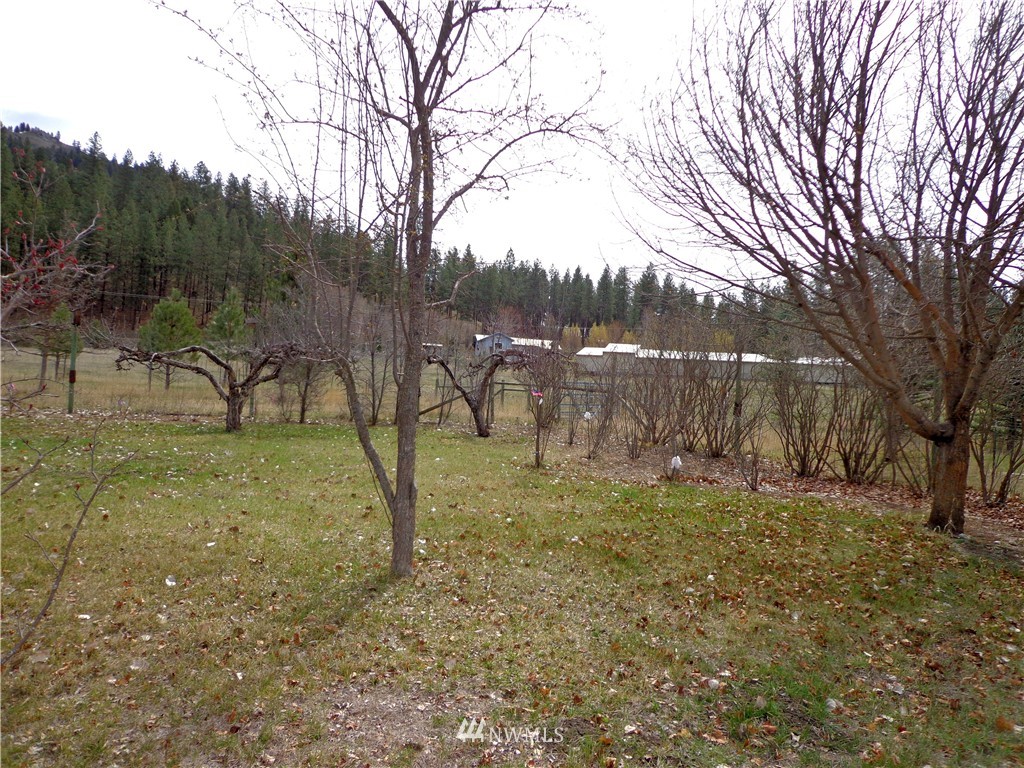 787 Customs Road Curlew, WA 99118 - Photo 22 of 25 Gallery Image 22