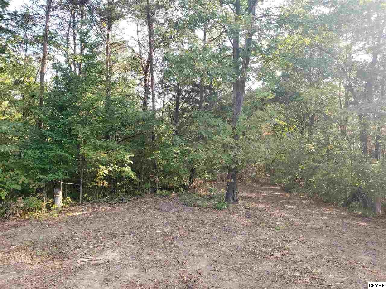 807 Smith School Road Kodak, TN 37764 - Photo 6 of 23 Gallery Image 6