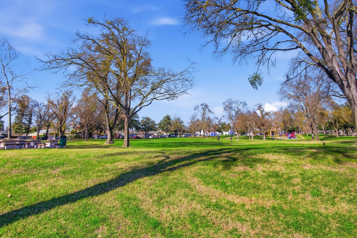 816 Dawn Drive Modesto, CA 95350 - Photo 21 of 22 a view of a park with large trees