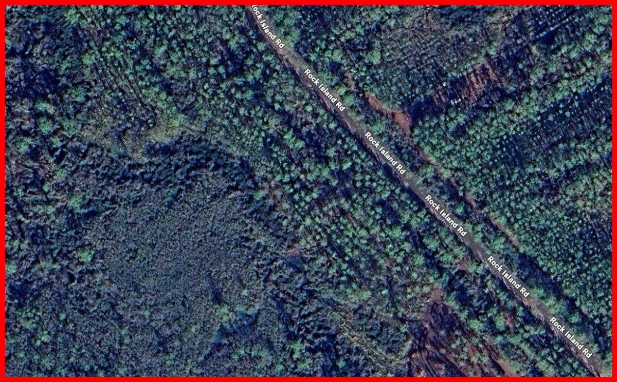 0 Rock Island Road Mayo, FL 32066 - Photo 2 of 5