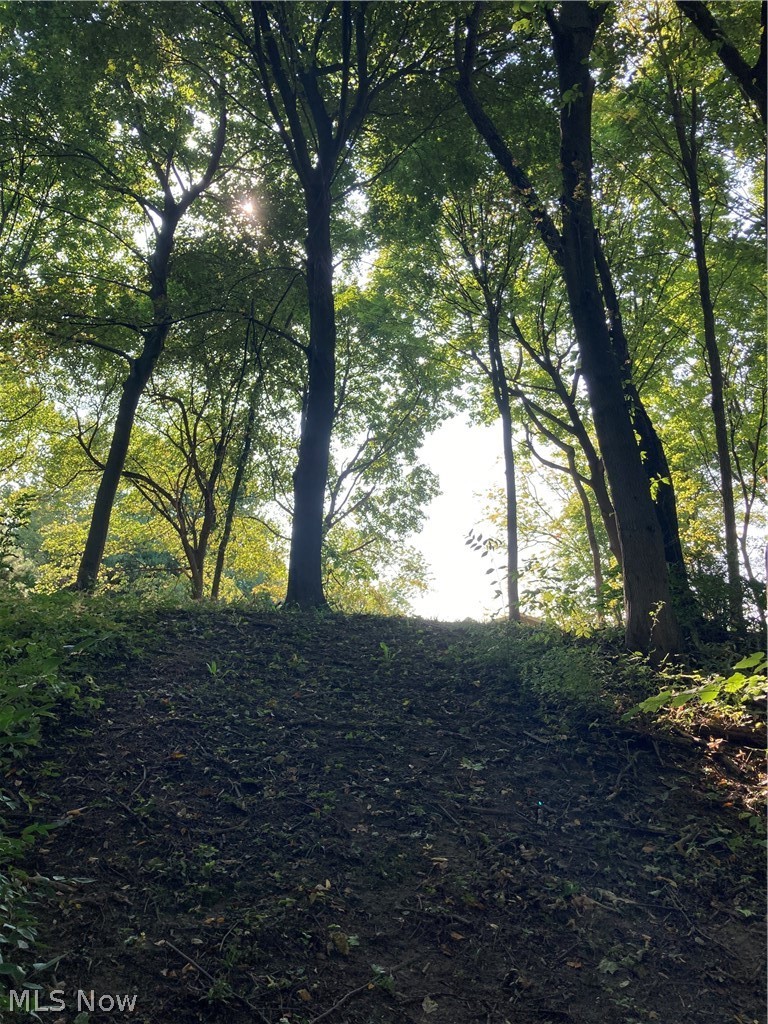 8103 Darrow Road Huron, OH 44839 - Photo 16 of 17 Over the hill and thru the woods....