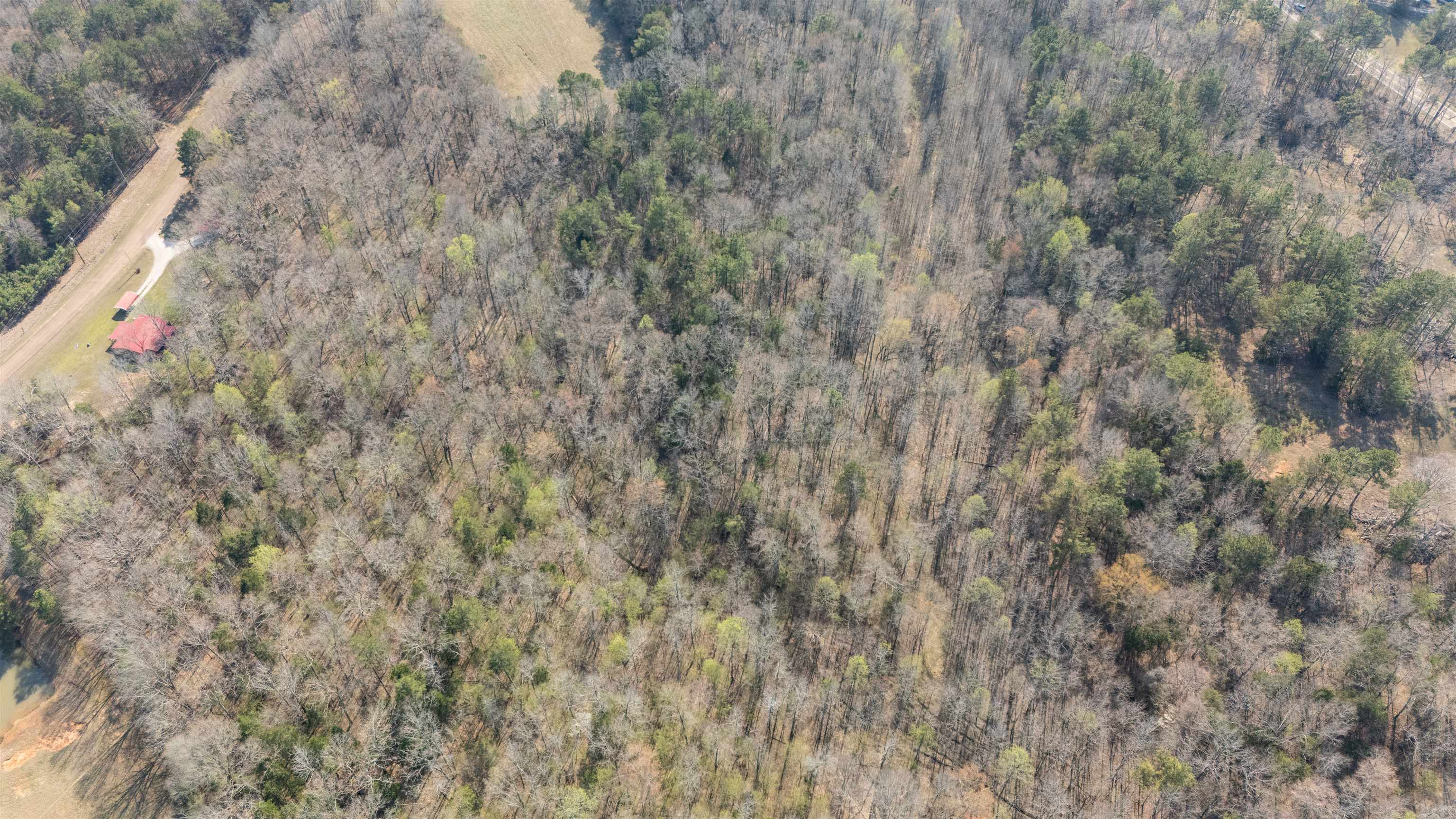 535 Big Springs Road Medon, TN 38356 - Photo 15 of 15 Bird's eye view