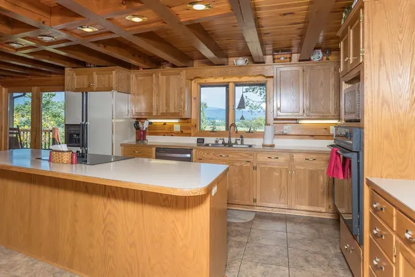 a view of a backyard with plants and lake view