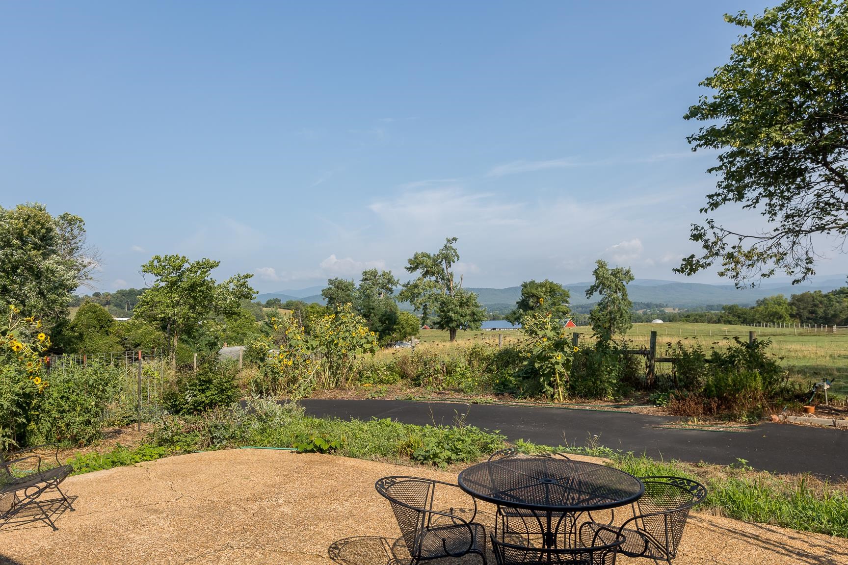 1003 Natural Chimney Road Mount Solon, VA 22843 - Photo 24 of 73 a view of a backyard with plants and lake view