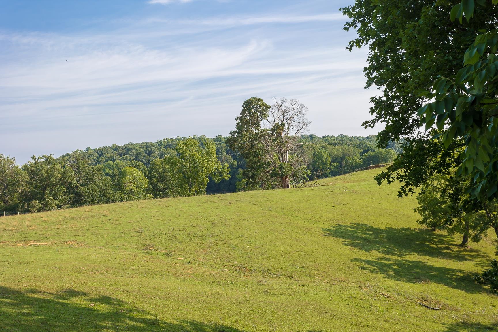 1003 Natural Chimney Road Mount Solon, VA 22843 - Photo 26 of 73