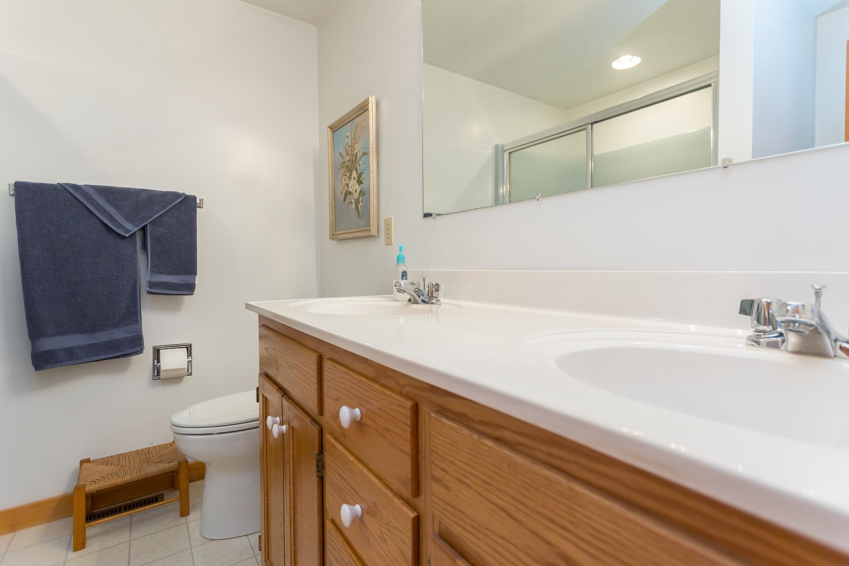 1003 Natural Chimney Road Mount Solon, VA 22843 - Photo 33 of 73 a bathroom with a sink a toilet and a mirror
