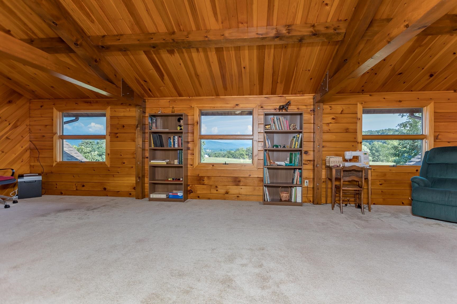 1003 Natural Chimney Road Mount Solon, VA 22843 - Photo 42 of 73 a view of a storage room
