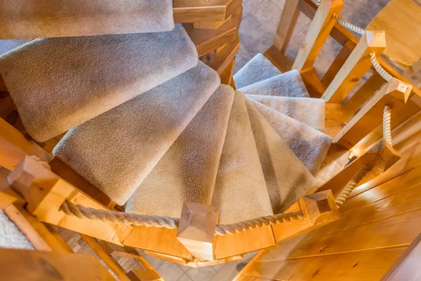 a view of a yard with plants and trees