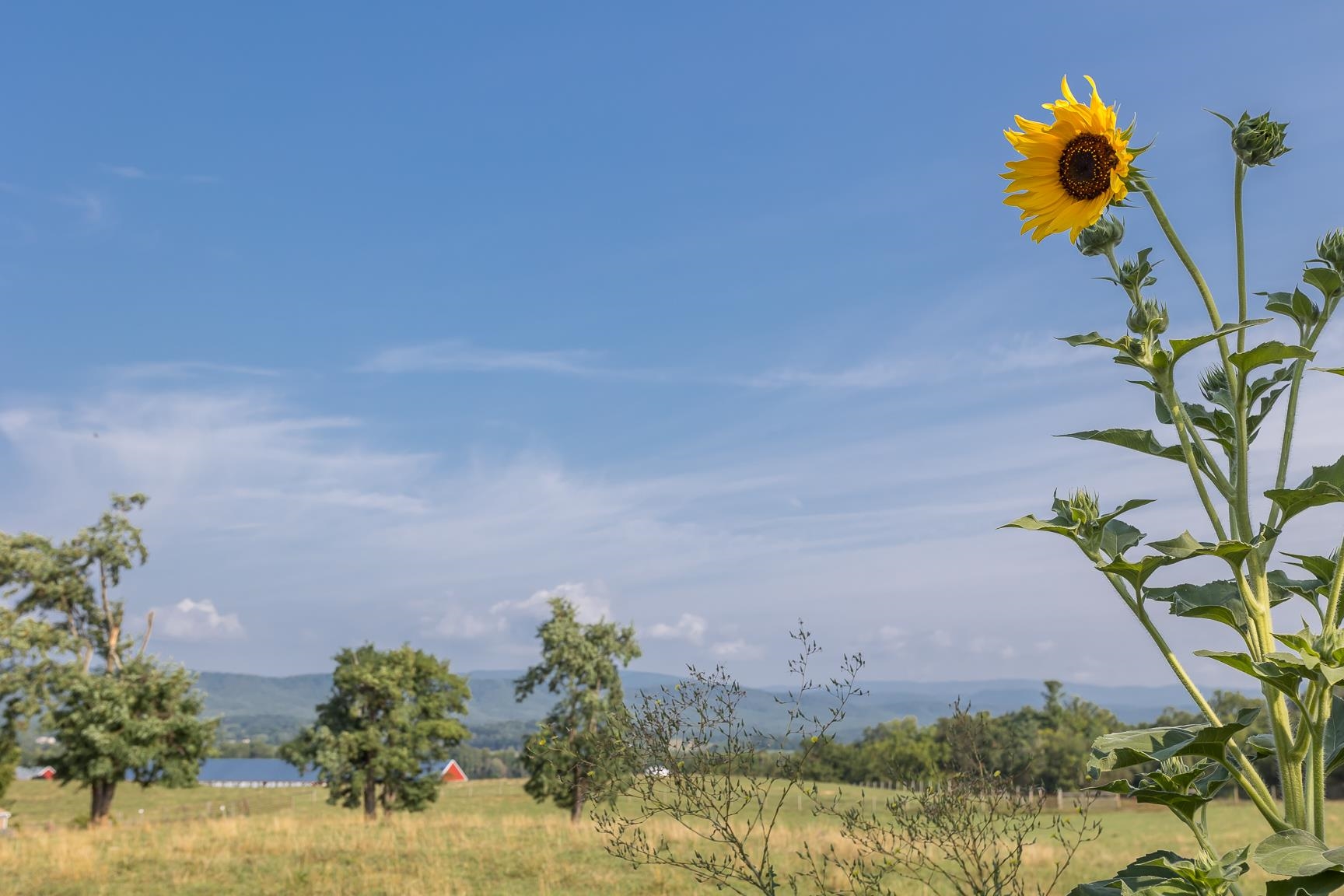 1003 Natural Chimney Road Mount Solon, VA 22843 - Photo 48 of 73